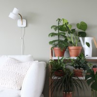 Plant shelf ideas