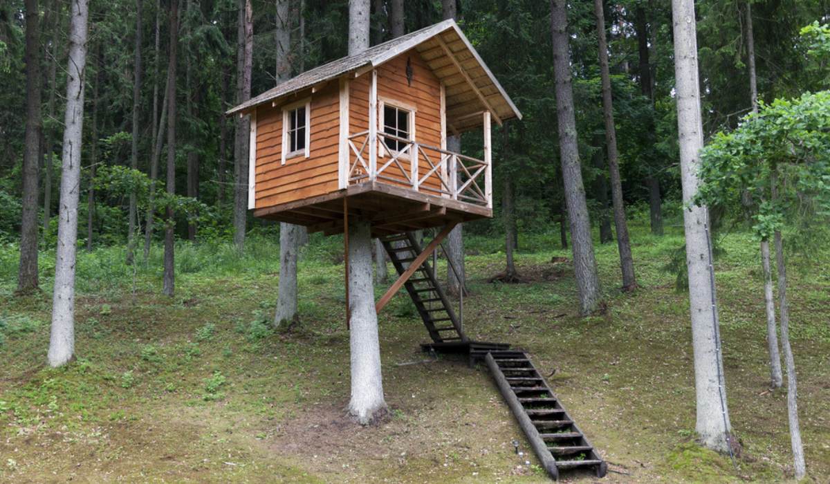 A-shaped Treehouse