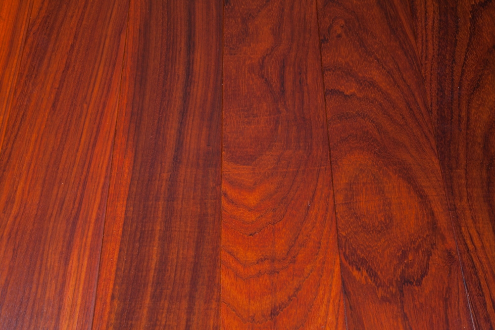 African Padauk