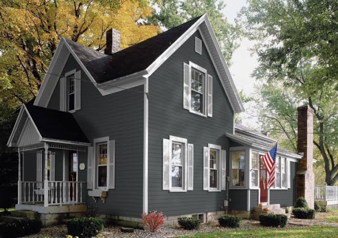 Black In Combination with White Siding Walls