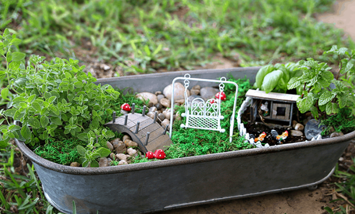 Container Fairy Garden