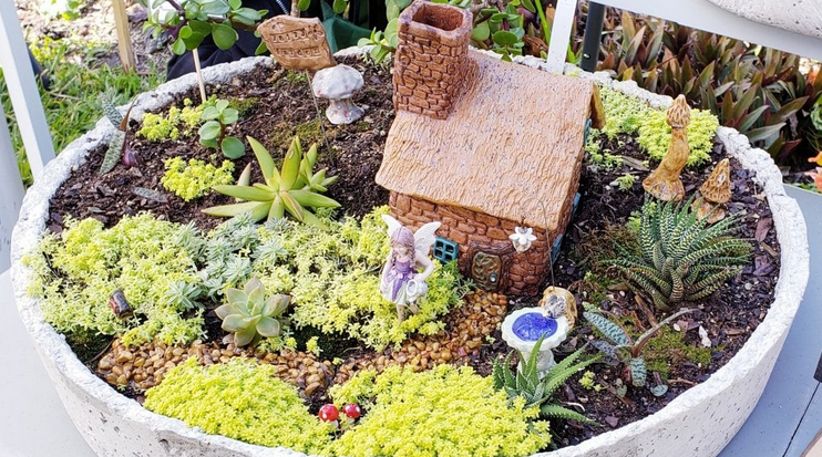 Fairy Teacup Garden