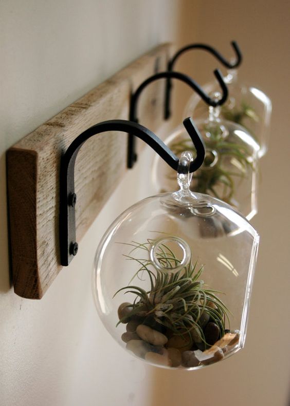 Hanging Glass Globes