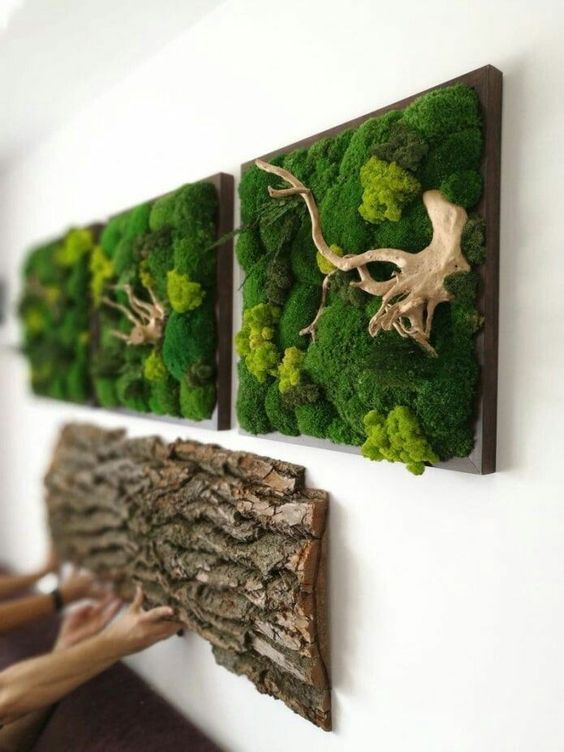 Living Moss Art