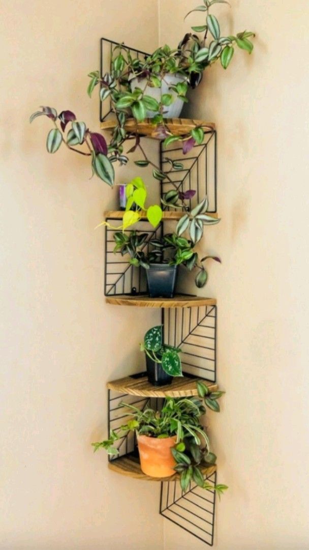 Plant Shelves