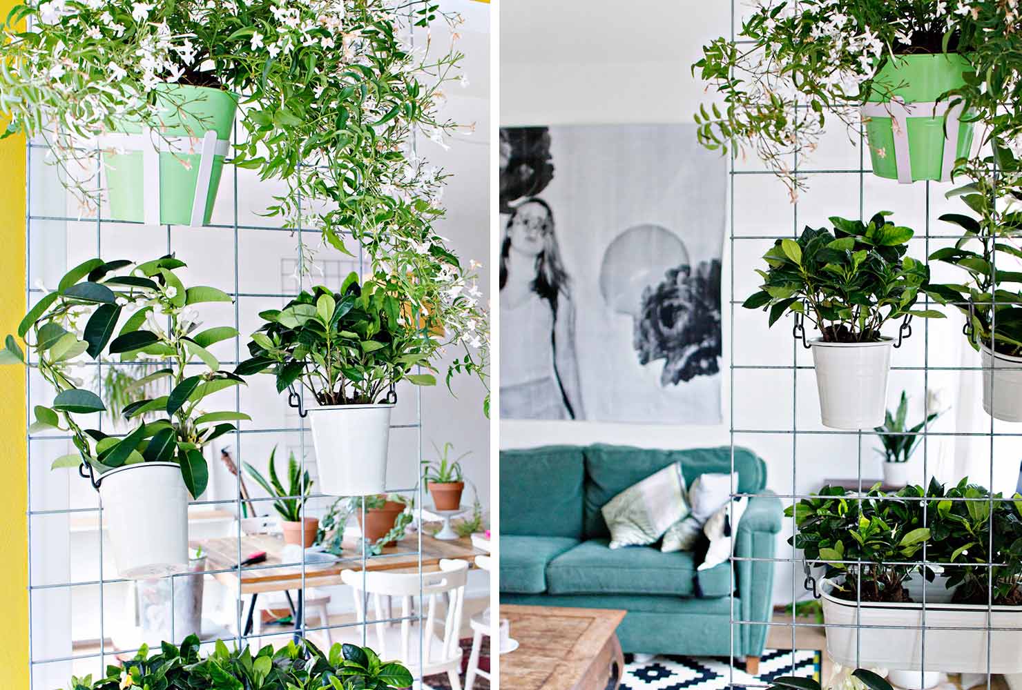 Plant Wall Divider