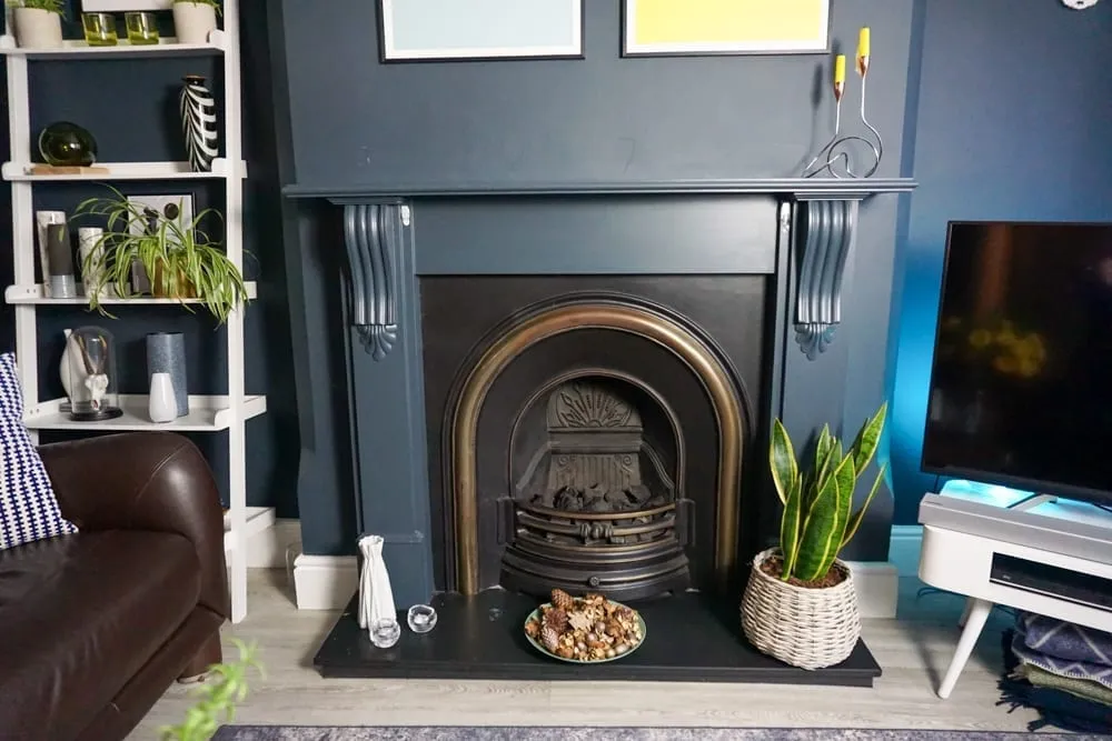 Plants Surround the Black Fireplace .jpg