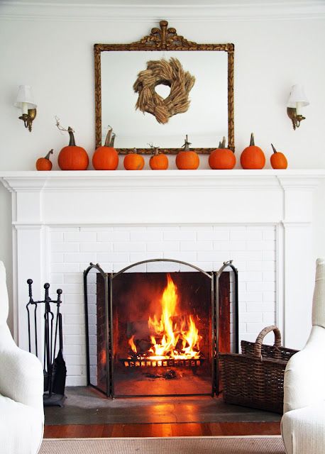 Pumpkins on Display