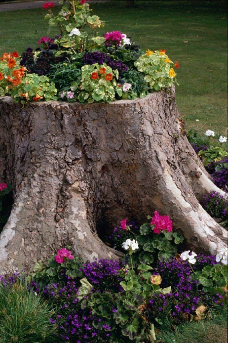 Repurposed Tree Stump