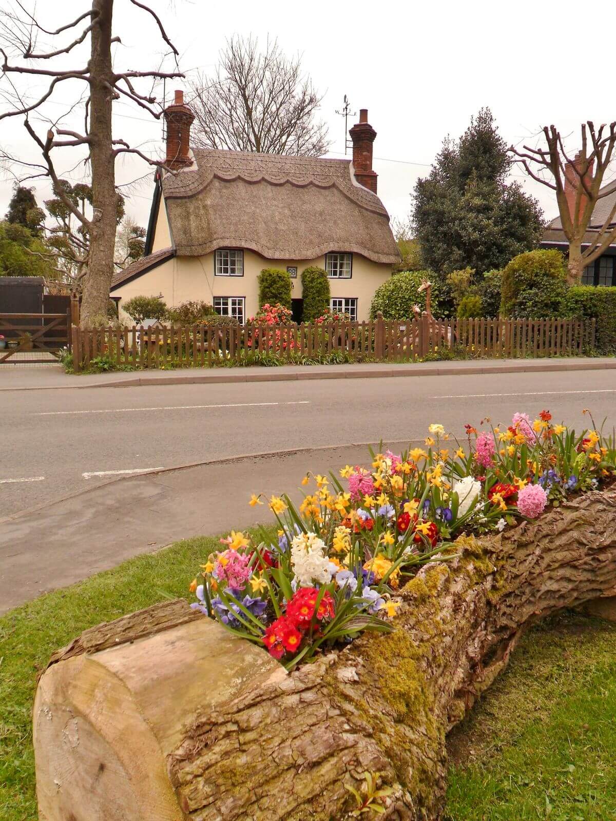 Rustic Concave Log Flower Bed