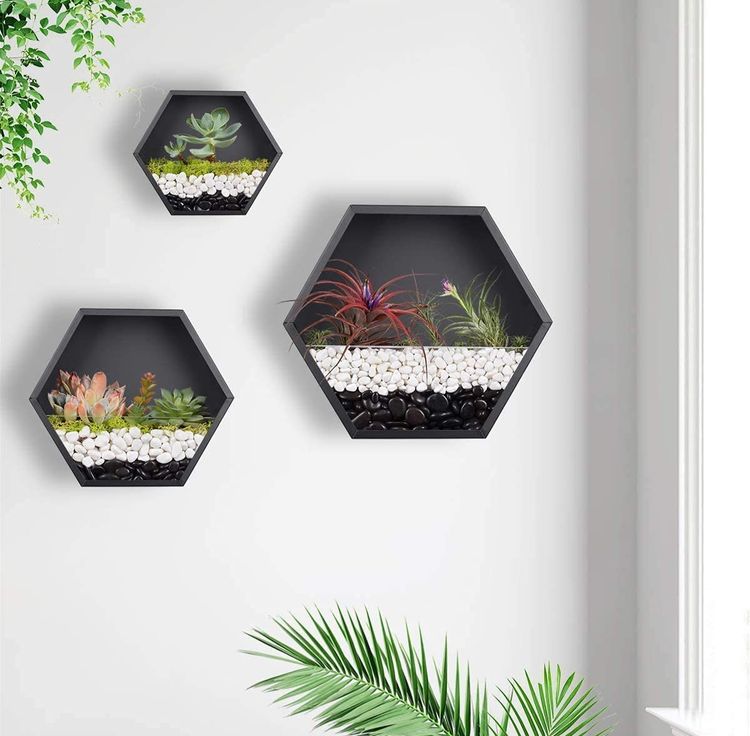 Terrarium Wall