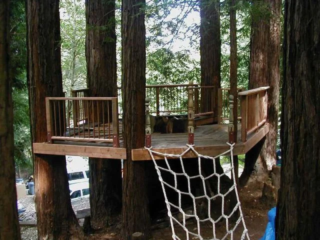 The Ideal Treehouse for Kids. .jpg