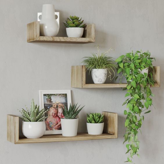 Wall-Mounted Shelving