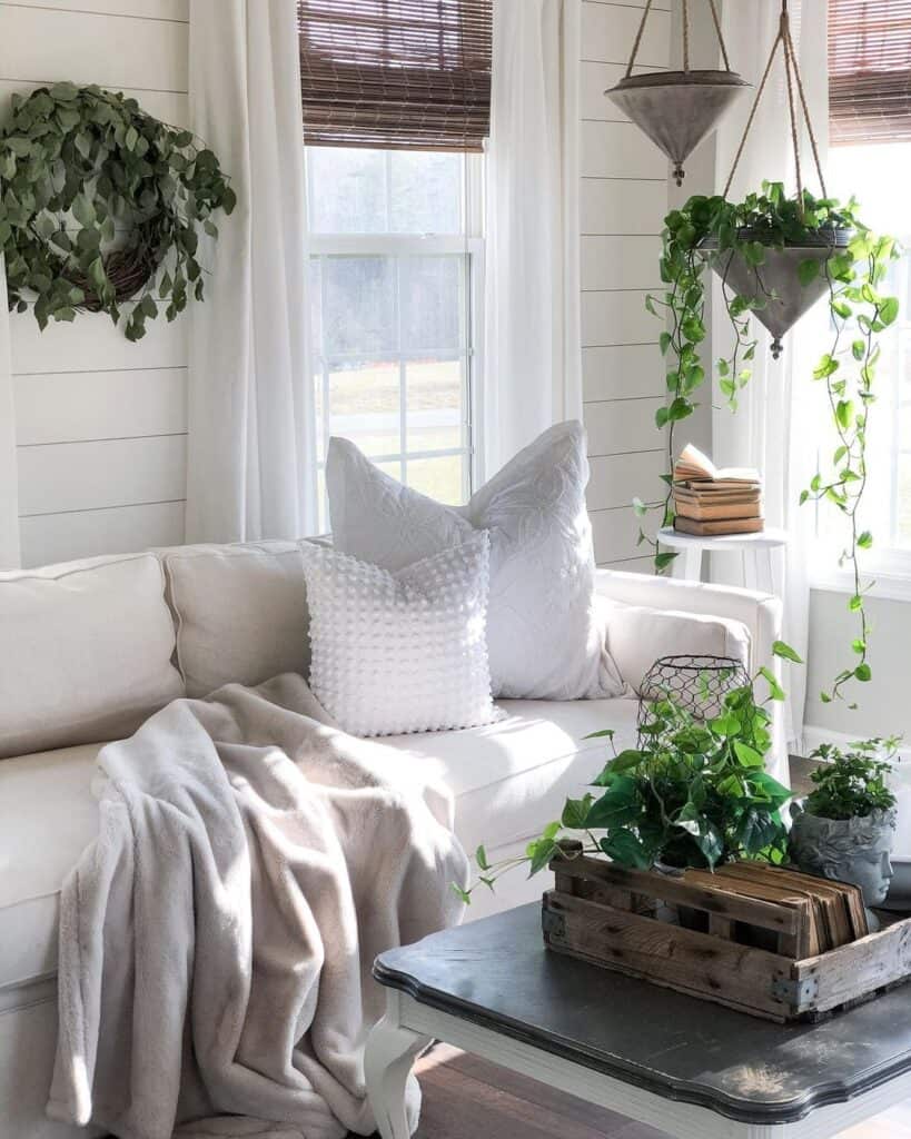 White Curtains with Brown Shades