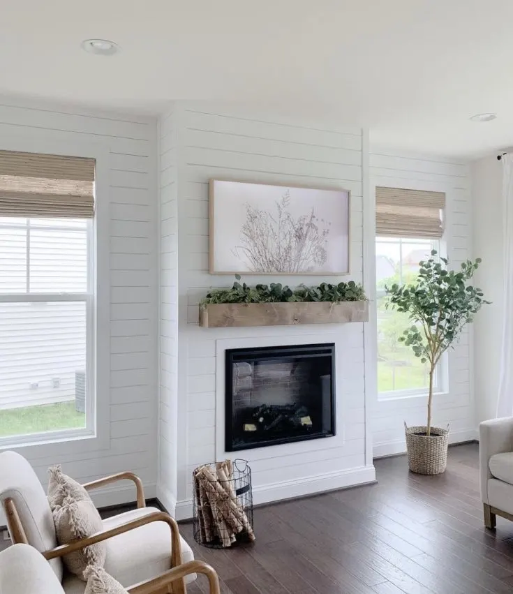 White Shiplap with Black Fireplace .jpg