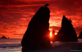 Sea Stacks Knife a Blood …, wallpapers
